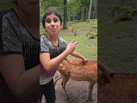 صوت الغزال سبحان الله