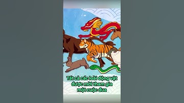 Vì sao mèo lại thay thế thỏ trong danh sách 12 con giáp ở Việt Nam? #shorts