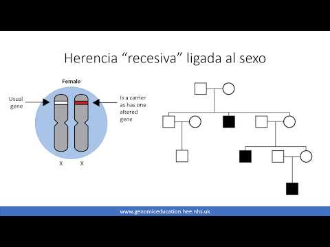 Video: Herencia De Diferentes Años