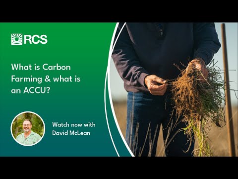 What is Carbon