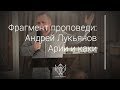 Андрей Лукьянов - Арии и каки