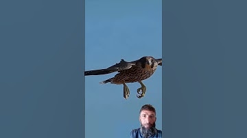 AL-IKHLAS #like #comment #quran #viralvideo #egzonibrahimi #سورة_الإخلاص #share&Subscribe ✔️✔️✔️