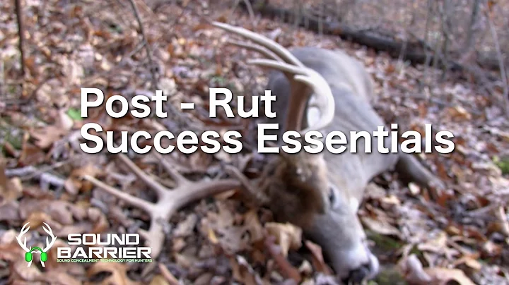 Post-Rut Success Essentials