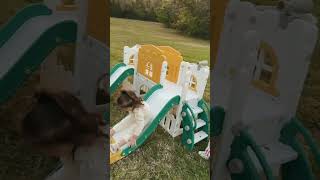 JOYLDIAS 9 in 1 Toddler Slide , Indoor Outdoor Backyard Playset for Toddlers