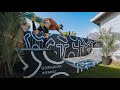 Why PRO SKATEBOARDERS are booking this Airbnb! 🤯