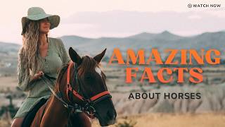 Amazing Facts About Horses the Noble Companions
