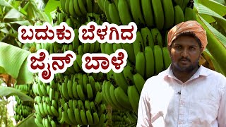 ಬಾಳು ಬೆಳಗಿದ ಜೈನ್ ಬಾಳೆ  ಶ್ರೀ ಪ್ರದೀಪ ದೊಡ್ಮನಿ | Jain Tissue Culture Banana Farmer Experience |