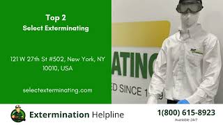 Top 3 Exterminators in Madison