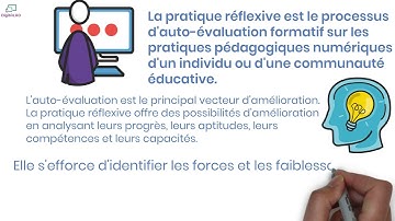 C1.3 FR Pratique réflexive (DigCompEdu)