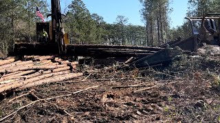 Watching the Hydro Gate Work by Cutting Edge Logging & Kelly 6,548 views 1 year ago 15 minutes