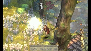 Tree of Savior - Auto Attack Animation Cancel