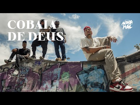 Vídeo: Que Sons As Cobaias Fazem