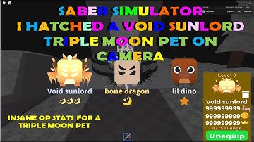 SABER SIMULATOR I HATCHED A VOID SUNLORD TM PET ON VIDEO  OP STATS