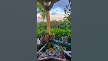 القارئ إسلام صبحي ⚘♧وكان الله على كل شي مقتدرا♧💗🌷تلاوة تخشع لها القلوب💙🎧ارح سمعك