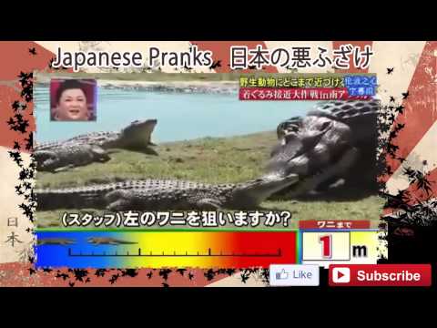 japanese-pranks-10---crocodile