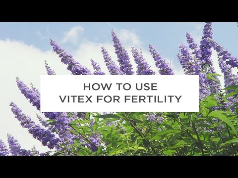 how-to-use-vitex-for-fertility