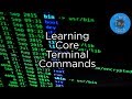 11 More Linux Commands Every Linux User Needs | Learning Terminal Part 2