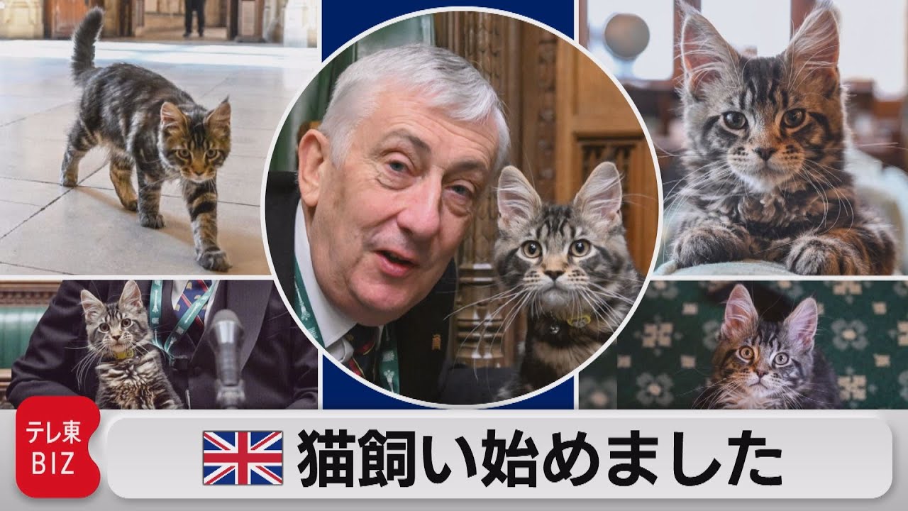 残1。猫の親子 イギリス製 【公式通販】