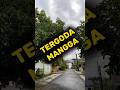 Tergoda Mangga