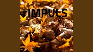 Video thumbnail of "Formatia Impuls - A Naibii Bautura"