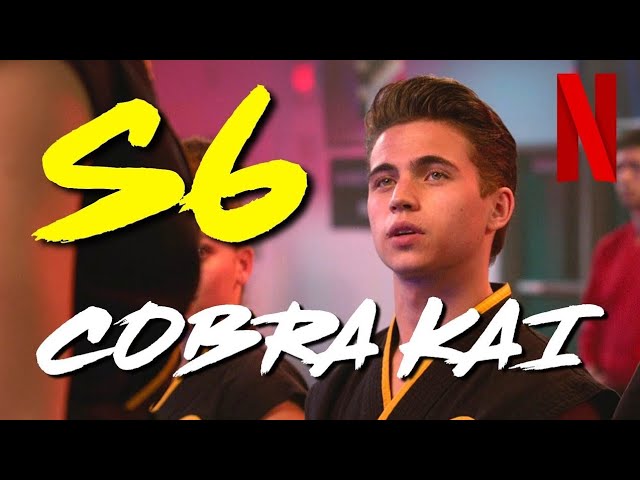 Cobra Kai Season 6 Trailer (2024) Hillary Swank, Ralph Macchio, Xolo  Maridueña (Fan Made #5) 