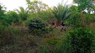 Directed And Edit By Engineer Tamue Watch Out For The Full Movie