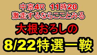 【競馬予想】8月22日の特選一鞍【大根おろし】
