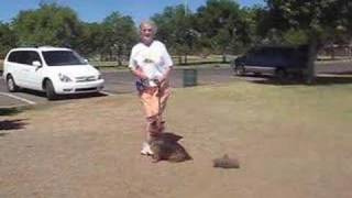 Side step exercises one last time
