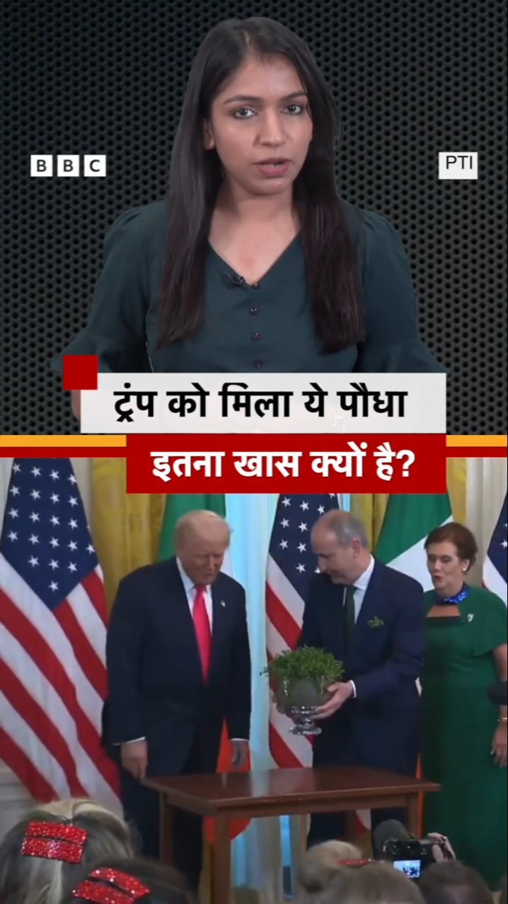 Trump को Irish Prime Micheal Martin ने जो पौधा Gift किया उसकी कहानी क्या है? (BBC Hindi)