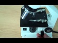 Microscope Usage and Parts Quiz