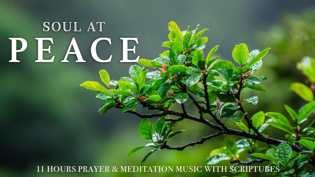 SOUL AT PEACE | Calming Scriptures with Soft Gospel Piano | Christian Harmonies