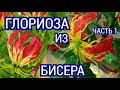 Глориоза из бисера  Часть 1. Мастер класс Цветы из бисера своими руками / Weaving lily