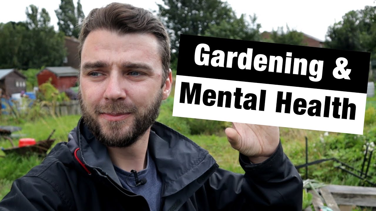 August Plot Update | Some Ugly Veg | Gardening & Mental Health | JBs Allotment Diaries