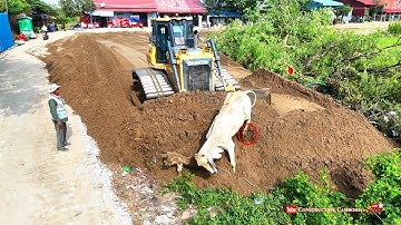 Nicely Complete Sand Filling by Skills Shantui DH17c2 Dozer Pushing Sand And Dump Truck Dumping Sand