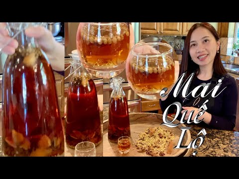 Video Mai Quế Lộ - Cách Làm Rượu Mai Quế Lộ, Rất Đơn Giản Và... - youtube
