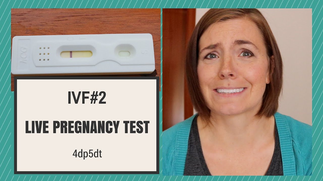 IVF2 LIVE PREGNANCY TEST 4dp5dt YouTube