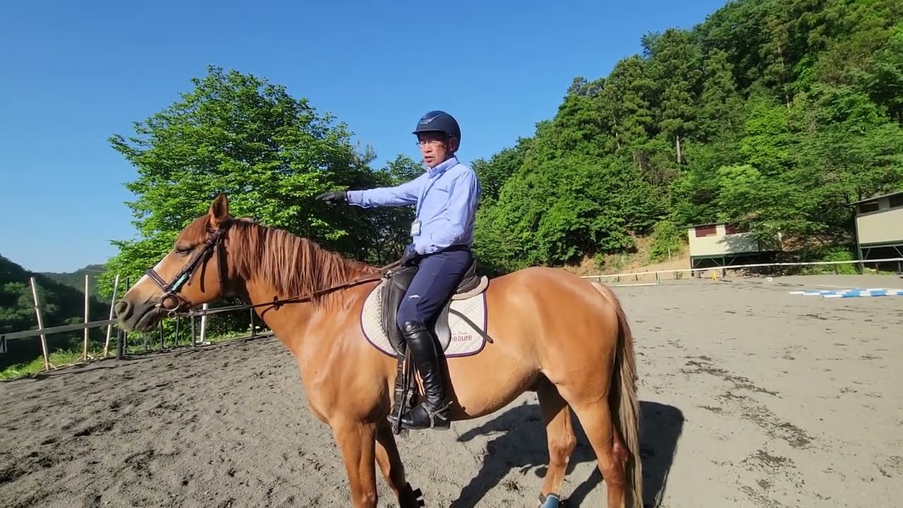お悩み解決「隅角を深く入る為の扶助について」 エルミオーレ埼玉　乗馬上達のコツ　河戸インストラクター&タッチ