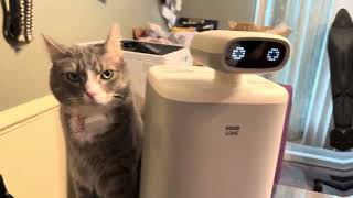 HHOLOVE Automatic Pet Feeder
