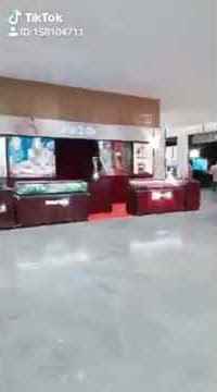 GUCCI PRADA (tiktok video)