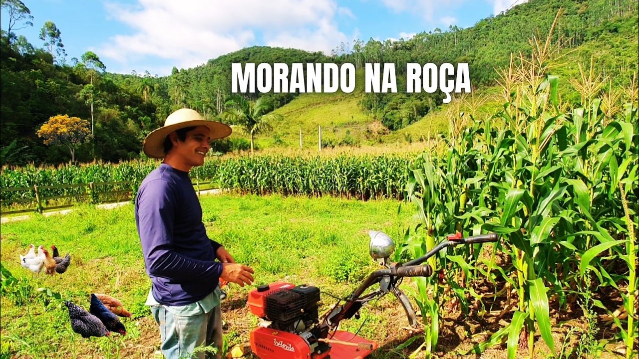 DIA DE PLANTAR E CUIDAR DO POMAR DE FRUTIFERAS DO SÍTIO