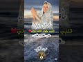 قلبي كيف يهون عشيره قلبي قلبي صفاء سعد