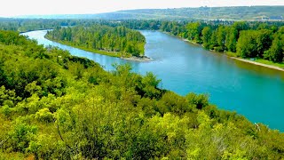 Bowmont Park Urban Nature