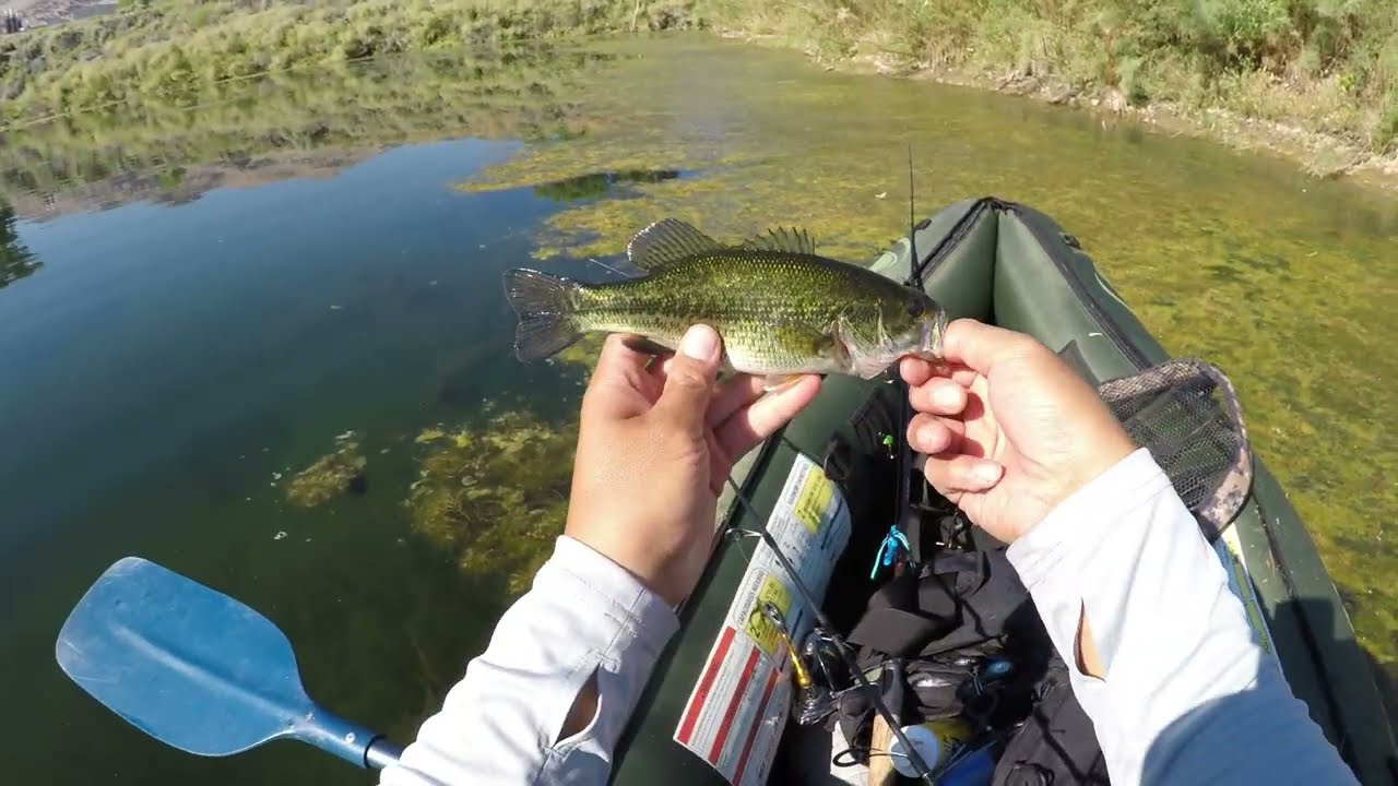 Bass Fishing at a Pond