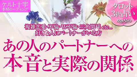 恋愛タロット 複雑恋愛 不倫 W不倫 三角関係 Etc 好きな人にパートナーがいる方 今のあの人のパートナーへの超本音 実際のパートナーとあの人の関係はどうなっている 深掘りリーディング Mp3