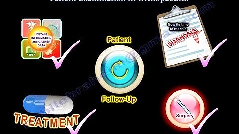 Patient Examination In Orthopaedics - Everything You Need To Know - Dr. Nabil Ebraheim