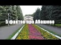 5 фактов про Абашево