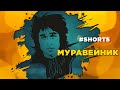 Виктор Цой - МУРАВЕЙНИК #Shorts