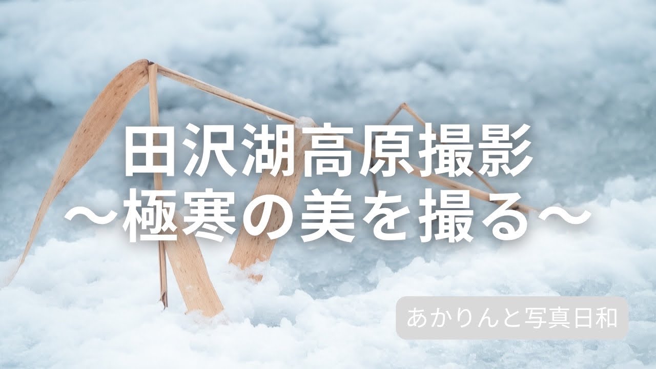 【撮影】田沢湖高原撮影〜極寒の美を撮る〜