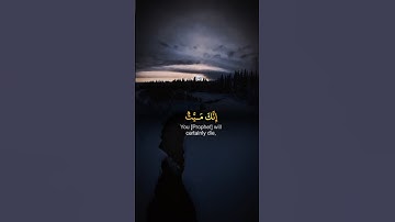 Surah Az Zumar (31-33) سورة الزمر #ياسر_الدوسري #اكسبلور #قرآن #quran #تلاوة_خاشعة #yasser_al_dosari