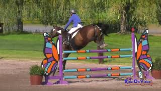 021S Travis Atkinson On Don Darco Intermediate Championship Show Jumping Aec August 2022